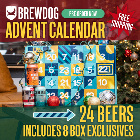 Beer Advent Calendars For 2023 Home Beer Brewing Kits